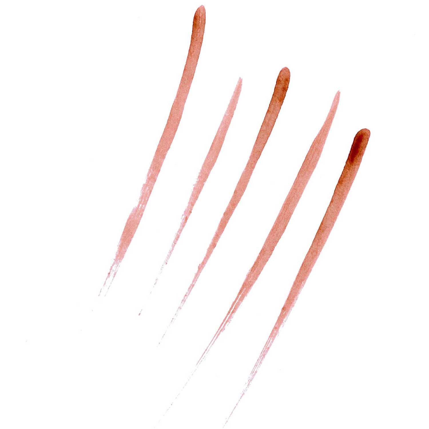 springkissed diairies